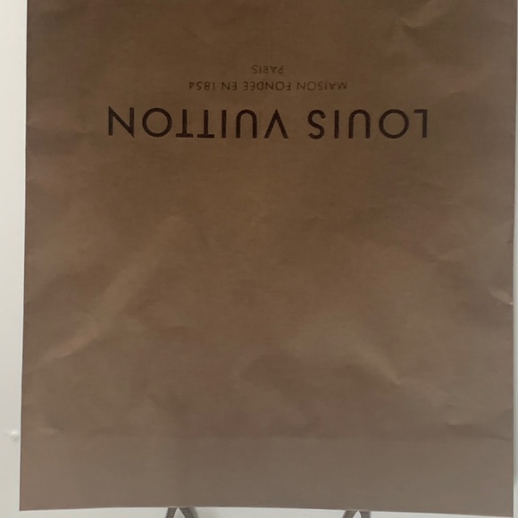 Louis Vuitton Medium Paper Shopper - Picture 4 of 5